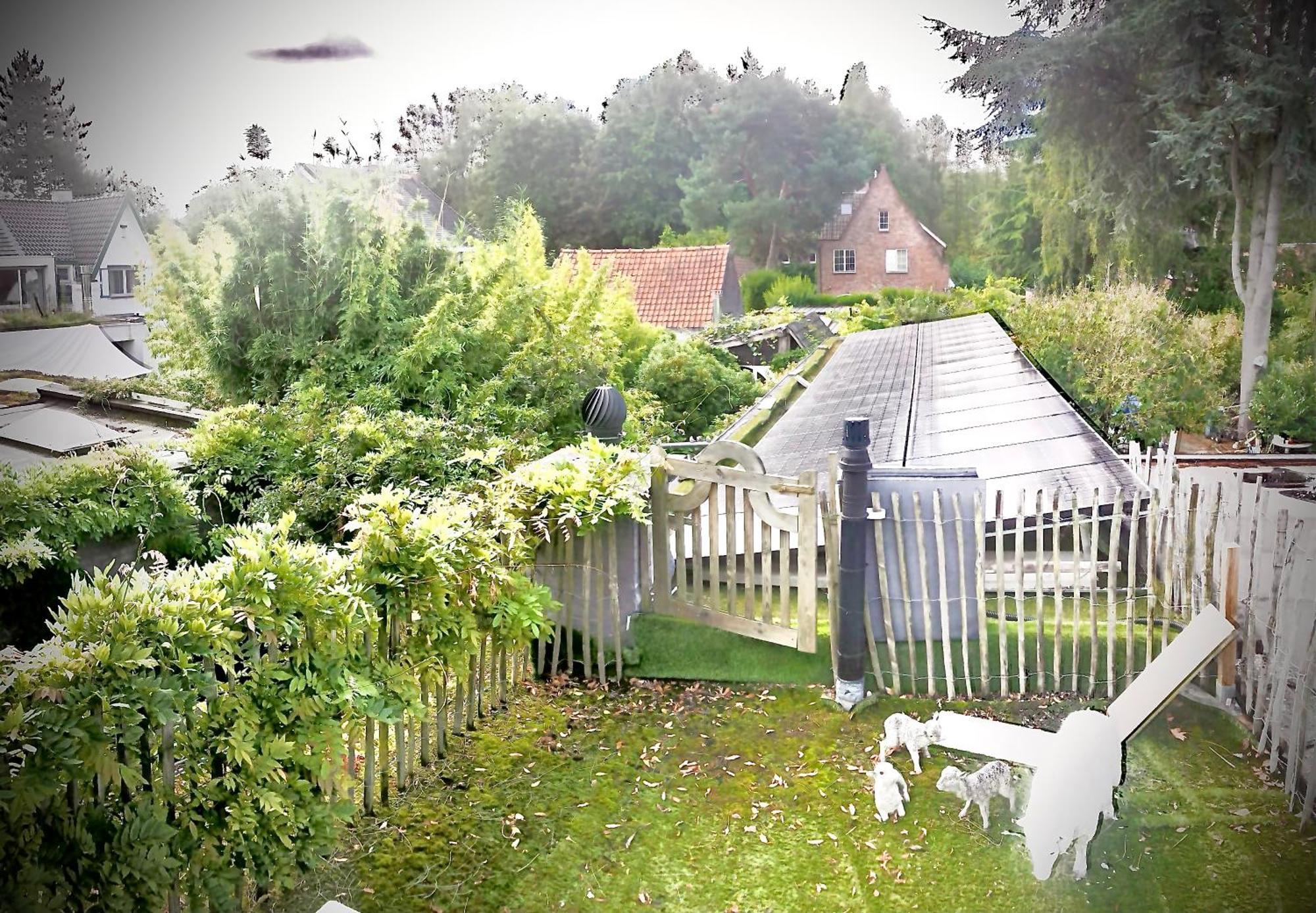 Casa Lucinda Bed and Breakfast Gent Rum bild