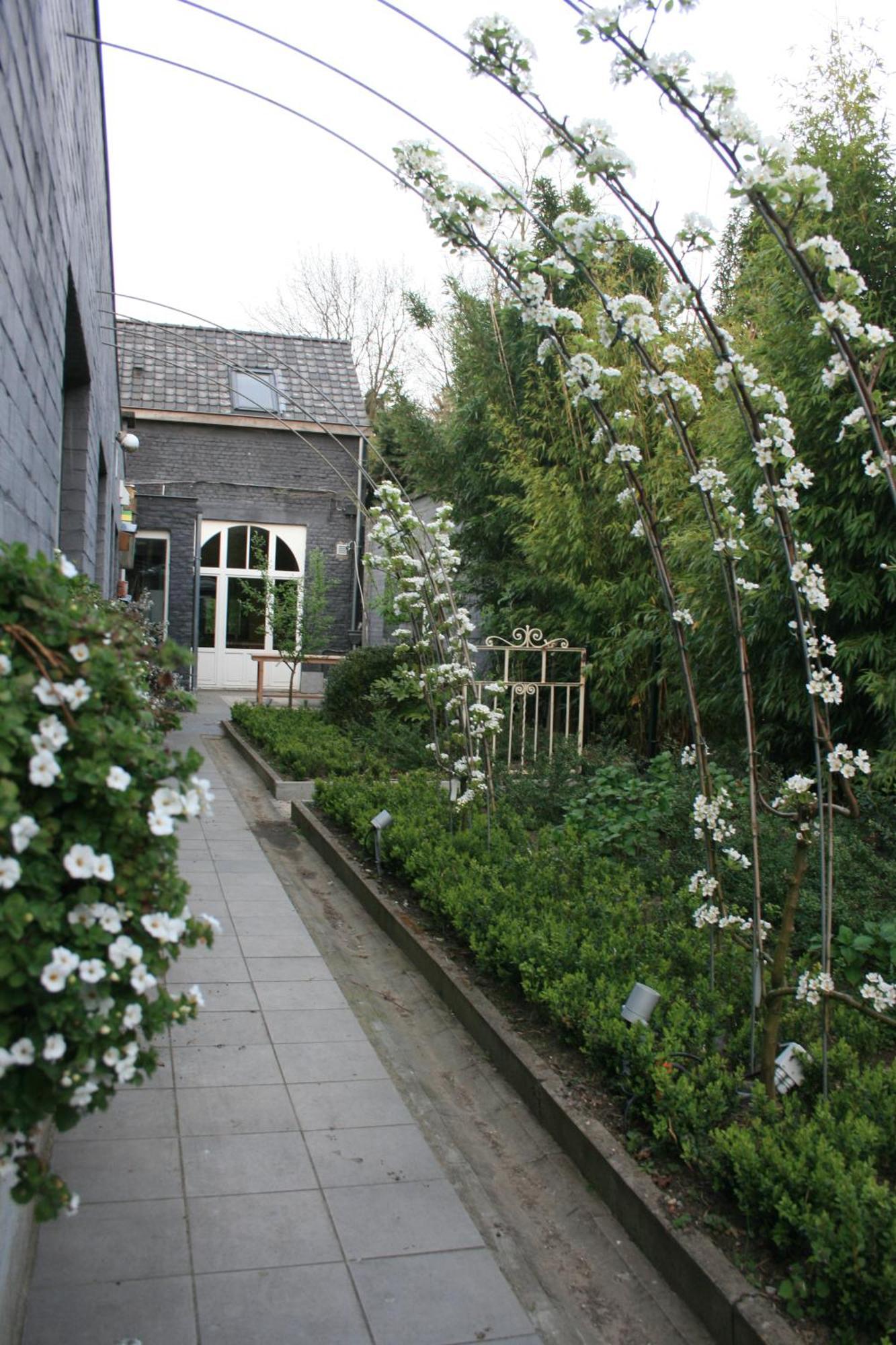 Casa Lucinda Bed and Breakfast Gent Exteriör bild